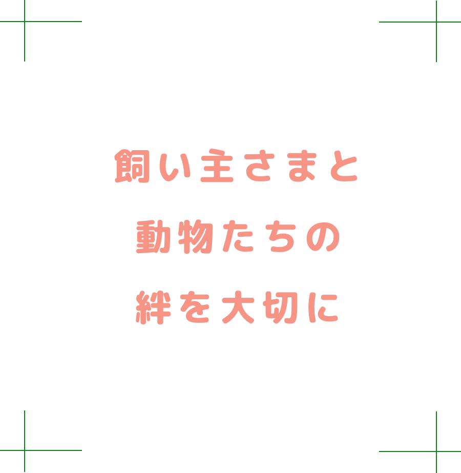 新しい自分 見つけませんか？